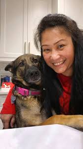 The Beauty of German Shepherds