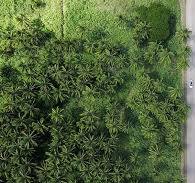 Sustainability at Vert | Vert Asset Management