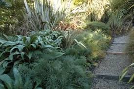 New Zealand Garden Google Search Small Garden Landscape Low Maintenance Garden Design Garden Design