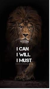 Lion Quotes Wallpapers Top Free Lion Quotes Backgrounds Wallpaperaccess