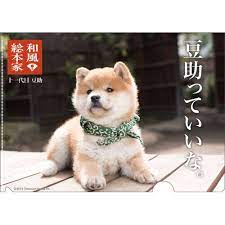 豆助 十一代目豆助クリアファイル クリアファイル 柴犬 可愛い 可愛いワンちゃん 犬 かわいい
