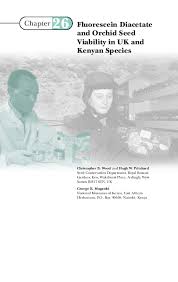 Image result for Diaphananthe sarcophylla