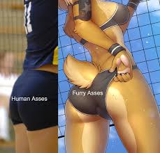 Furry irl : r/furry_irl