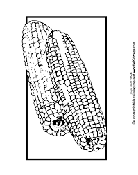 Coloring page, drawing, picture, school, education, primary school, educational image: Corn Cob Coloring Page Coloring Home