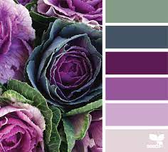 Market Hues Seeds Color Purple Color Palettes Color Schemes