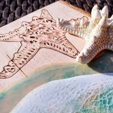 Bade or bid , bid·den or bid , bid·ding , bids v. Just 2 More Days To Put In Your Bid For This Lovely Starfish And Ocean Collab Piece From Me And Myartofgold Go Check Out The Original Post With Details On How