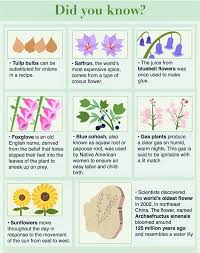 Built by trivia lovers for trivia lovers, this free online trivia game will test your ability to separate fact from fiction. Garden Plants Quiz Questions