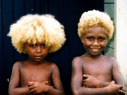 As nouns, blond is for males, and blondes is for females. Black People With Natural Blonde Hair Melanesian Population Afroculture Net
