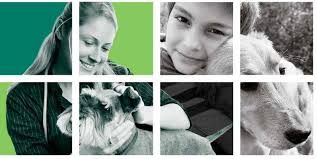 For personal use only