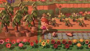 Check spelling or type a new query. Animal Crossing Farming Yep Reality Dreams At Play Grounded By The Farm
