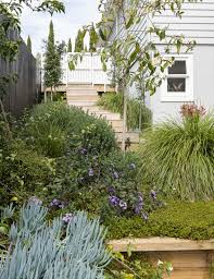 Nurse Turned Landscape Designer Builds A Garden For Family Birds And Bees Landscape Design Drought Tolerant Garden Front Garden