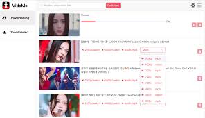 Free Download HD4K Videos from Pornhub, Xhamster, Xvideos