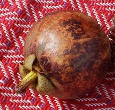 Les Fruits Exotiques