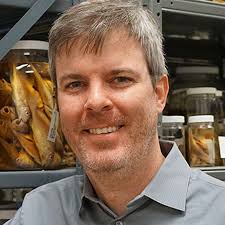 College of Arts and Sciences hires 32 new tenure-track faculty: College of  Arts + Sciences : Indiana University