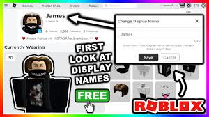 In this post, you will come to know about a new feature that is yet to be introduced in roblox. New First Look At Roblox Display Name Update Roblox Profile Youtube