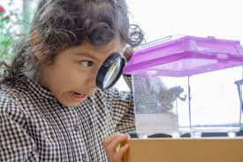 CREC: CREC Students Enjoyed Hands-on Activities at STEM Night (News)