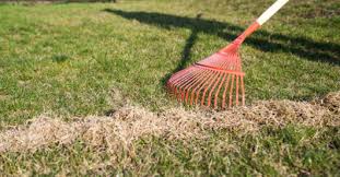 Um diese fragen zu beantworten führte ein forscherteam unter der leitung von erfahren sie hier, wann die beste zeit zum vertikutieren ist. Rasen Mulchen Wann Wie Und Warum Hagebau De