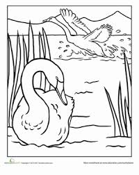Swan Worksheet Education Com Coloring Pages Swans Art Conversational Prints