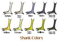 Chicken Leg Color Chart Chicken Color Breeding Chart