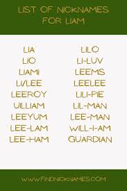 30 Creative Nicknames For Liam Find Nicknames In 2020 Silly Words Nicknames Popular Irish Names