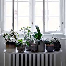 Pour végétaliser une fenêtre avec rebord , il vous faut choisir des jardinières. Deco Fenetre Des Idees Qui Changent Cote Maison