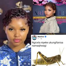 Bafaz sizan intwala ziqedwa ngani kwi nanaz