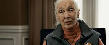 Loved to death: New film 'The Last Tourist' helps travelers become more  responsible