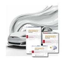 OEM BESNEY Clear Coat High Gloss Fast Drying Automotive ...