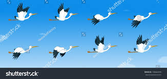 Free Images Birds In Flight Storks Flying Sequence For Animation Ad Affiliate Flying Storks Animation Sequence In 2020 Graphic Design Portfolio Cover Animation Illustration
