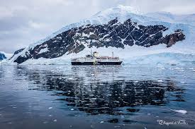 Maybe you would like to learn more about one of these? Going To Antarctica 30 Common Questions Answered Passport Pixels