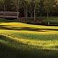 LPGA Qualifying Series - Final Stage