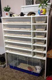 Related Image Reptile Rack Reptile Room Animal Room