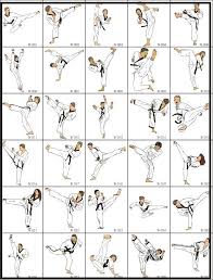 Martial Arts And Self Defense Martial Arts And Self Defence Techniques Martial Arts Techniques Karate Martial Arts Martial Arts