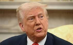 Dovi Frances seeks to sell Papaya stake at 90% discount amid judicial  overhaul clash