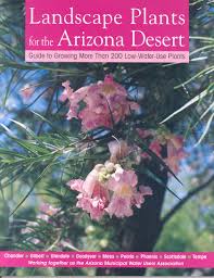 Maybe you would like to learn more about one of these? Desert Plants Are Great At Multi Tasking Water Use It Wisely