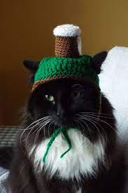 Cat Hat Cat Beer Mug Hat Cat Hat With Ear Holes Beanie For Etsy Ear Hats Cute Hats Hats