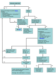 Purpura on your skin can show up as flat spots, patches or raised bumps that range in size from pinpoint sized to largely visible marks. Clinical Practice Guidelines Petechiae And Purpura