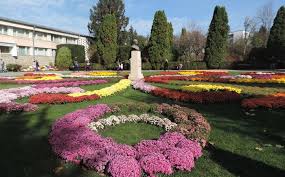 Expozitie nationala de violete africane georgy anonim, marţi, 22 martie 2011, 9:07. FrumuseÈe In Stare PurÄ ExpoziÈia Flori De ToamnÄ O Incursiune In Lumea Culorilor Video Foto Ziar Info IaÈi Stiri Iasi