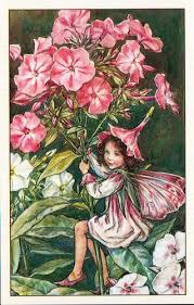 Flower Fairies Of The Garden The Phlox Fairy In 2020 Fairy Illustration Fairy Pictures Fairy Art