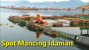 Perahu Cirata Kandas Debit Air Waduk Surut Mancing Ikan Nila Spot Idaman Kerambah Jaring Apung Youtube
