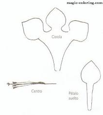 Magic Coloring Freesia Flower Template Paper Roses Diy Flower Template Paper Flowers