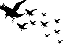 We did not find results for: Burung Terbang Png Free Png Image