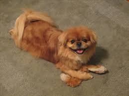 Beth Hubner Obituary (1961