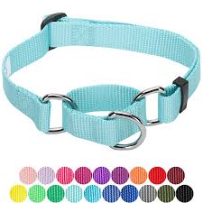 With Personalization Options No Buckle Blueberry Pet Spring