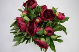 Where to buy wholesale flowers perth. Wholesale Flower Market Flowers Wa Perth West Leederville