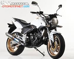 Hasil gambar untuk modifikasi touring motor tiger