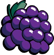 Raisins Noirs Vector Clipart Vecteurs Publiques Dessin Fruits Clip Art Illustration Vectorielle