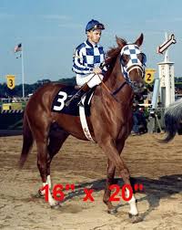 Secretariat Triple Crown Winner Horse Racing Poster Color Photo 16 X 20 Secretariat Horse Thoroughbred Horse Horse Love