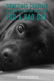 dog quote sometimes cuddling with my dog dog dog quotes inspirational quotes funny quotes life quo dog quotes inspirational dog quotes dog quotes funny