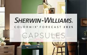 2025 Colormix Forecast